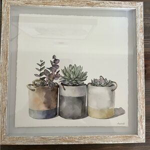 11x11 Frame Potted Succulents Pastel Colors